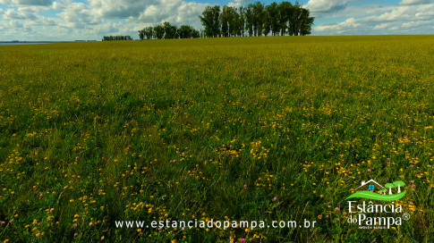 DOS EÓLICOS VIRA P FAZENDA_Moment.00_09_52_16.Quadro280_25ec8ff491cea5f5c19ff84ca6131a1d3c713091.jpg